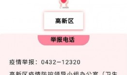 大吉林网友爆料视频播放,视频揭示惊人真相，引发网友热议！